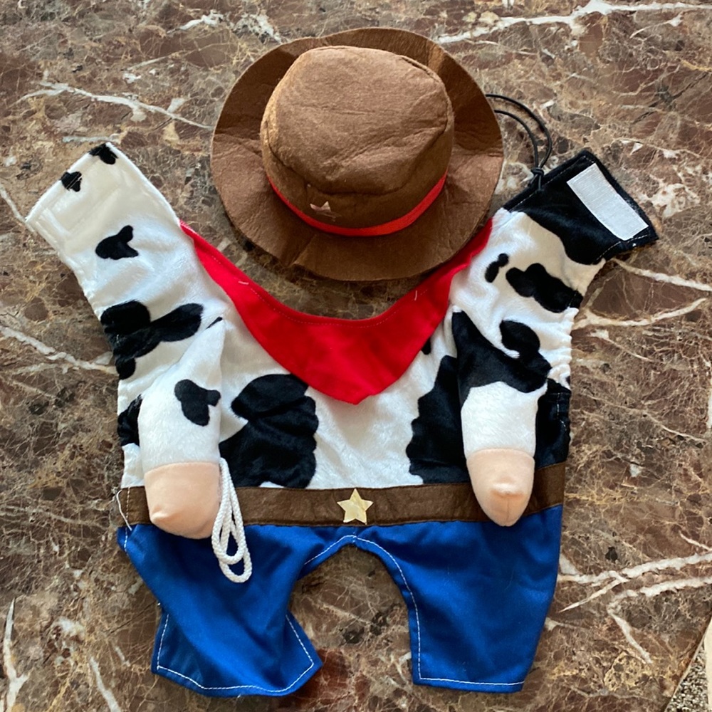 🐶 Woody from Toy Story Dog costume